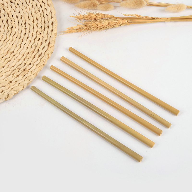 Premium Reusable Bamboo Drinking Straws Durable Biodegradable Straws Ecofriendly Straw