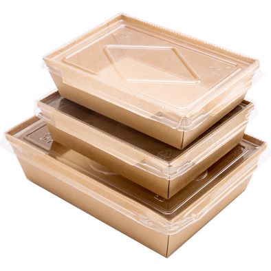Take Out Salad Box with Window, Reusable Kraft Brown Food Storage Containers, Freezer Safe