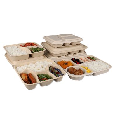 100% Compostable Food Containers Biodegradable Microwave Safe Take Out Lunch Boxes, Made from Renewable Materials 