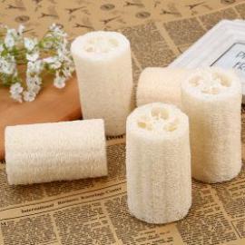 Eco-Friendly Loofah Sponges Efficiently Remove Oil Stain, Biodegradable and Zero Waste 